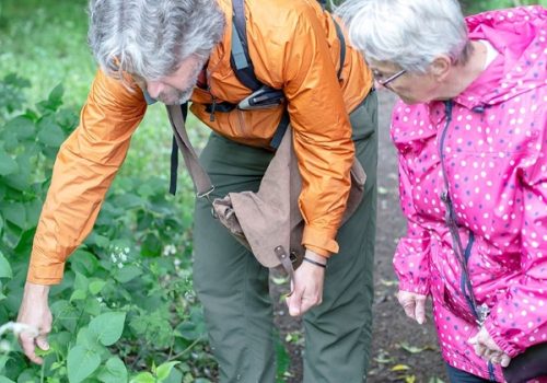 Making space for more carers Around the Table