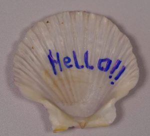 A small scallop-shaped shell with the word Hello!! written on it in blue ink.