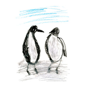 2 Penguins drawn in colour pencils