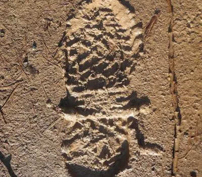 boot inprint in mud