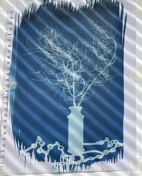 Cyanotype of plant in vase stripped with diagonal shadows