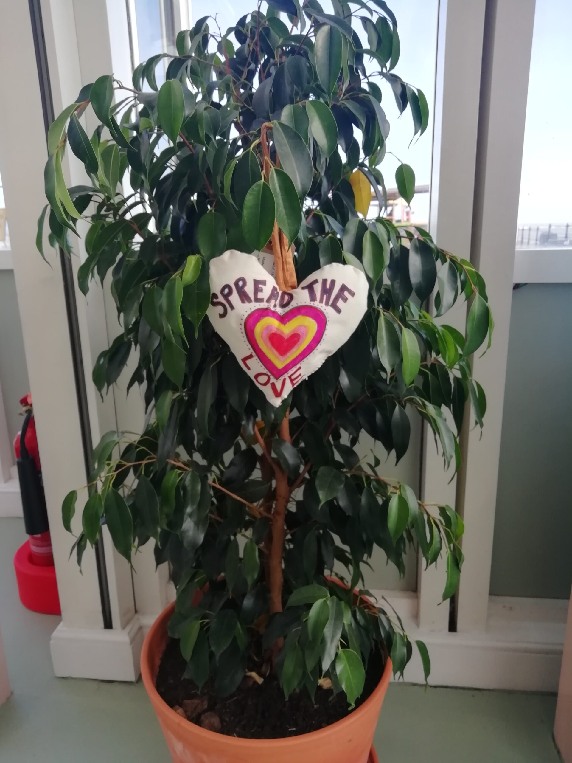 White heart hanging on an inside plant. Heart decorated with colourful concentric hearts and 'Spread the love'