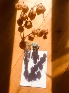 Still life set up