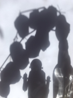 Shadow of still life on paper