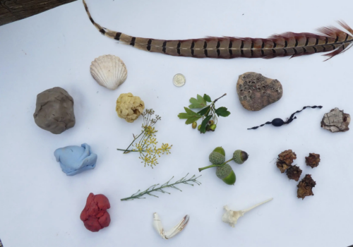 A collection of blutack, seed heads and feathers