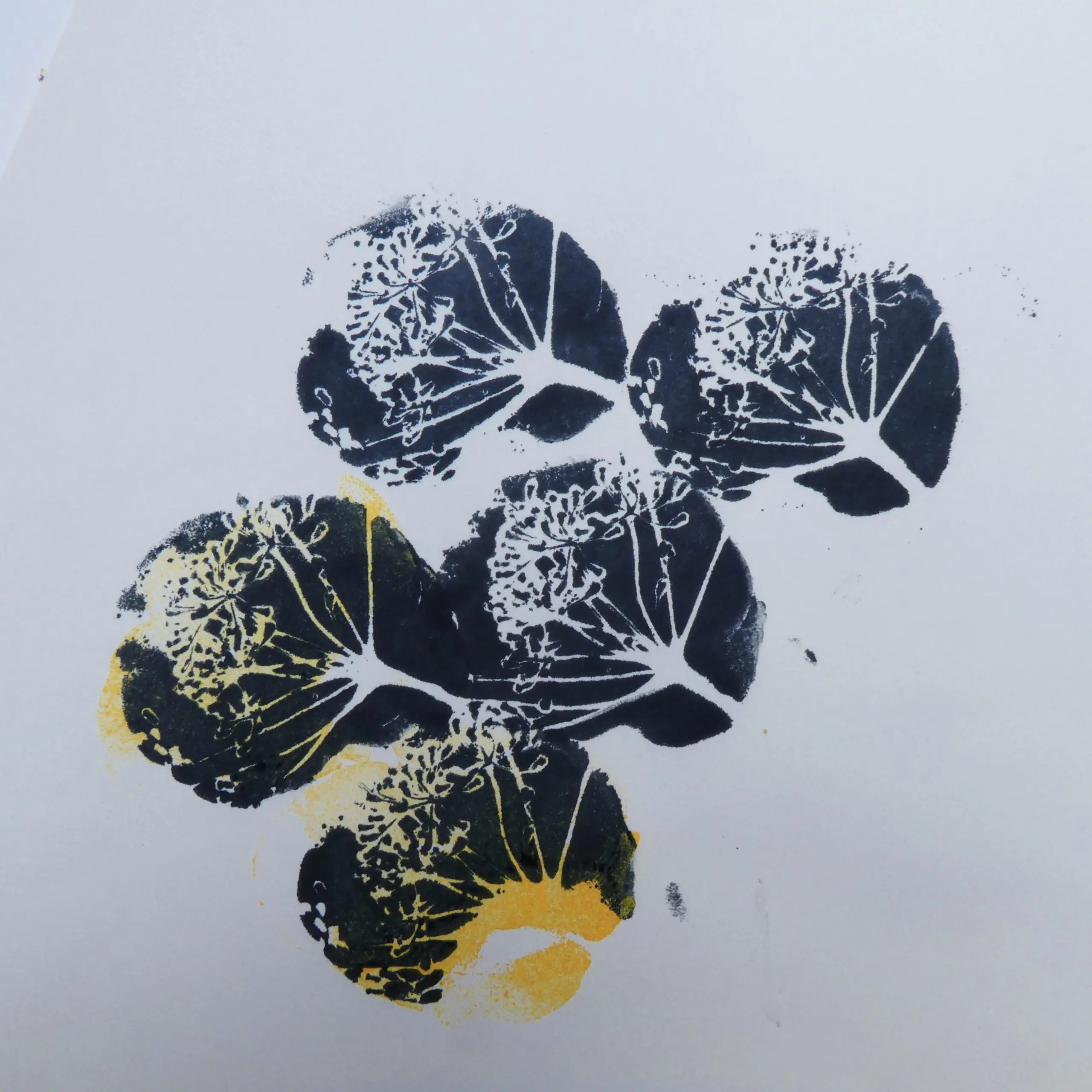 Five seed head prints in black and yellow