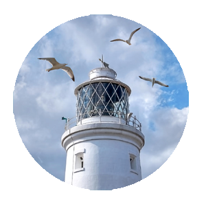 A lighthouse with seagulls
