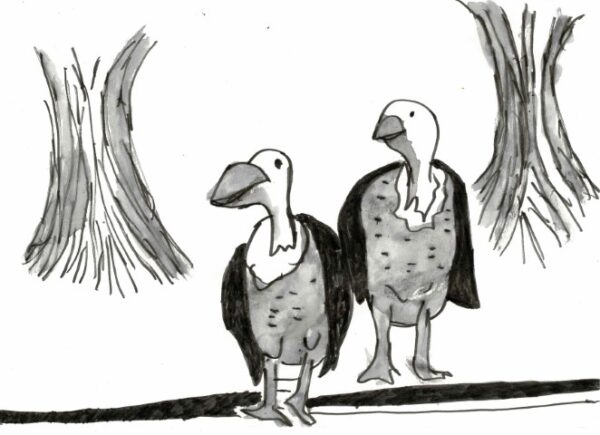 Sean's vultures, black and white print