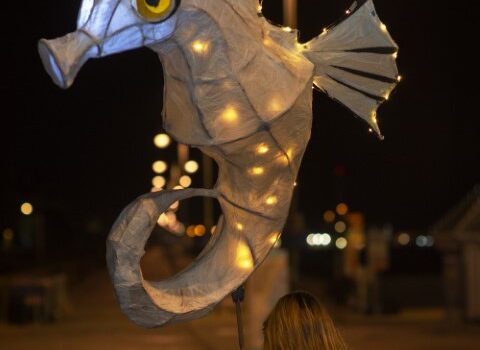 Seahorse Lantern