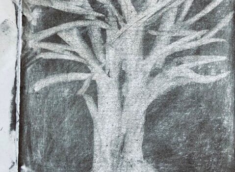 Tree drawn using an eraser