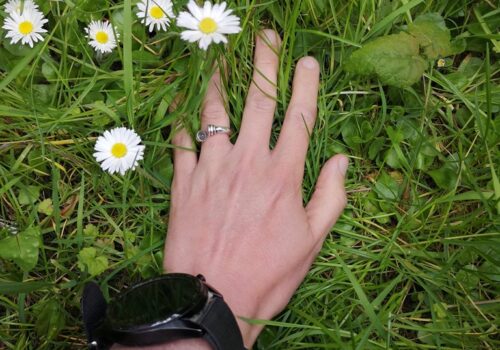 Hand with silver ring and chunky black watch resting in the midst of grass and daisies and other vegetation.