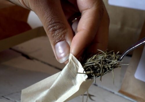 Hand holding refillable tea bag that is being filled with a spoonful of pine needles