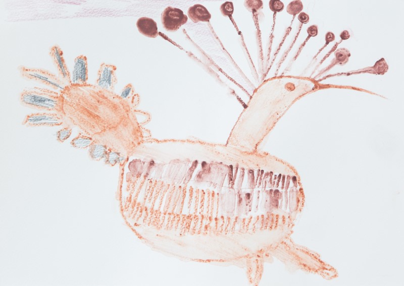Hoopoe Bird, artist Nicola Fayers