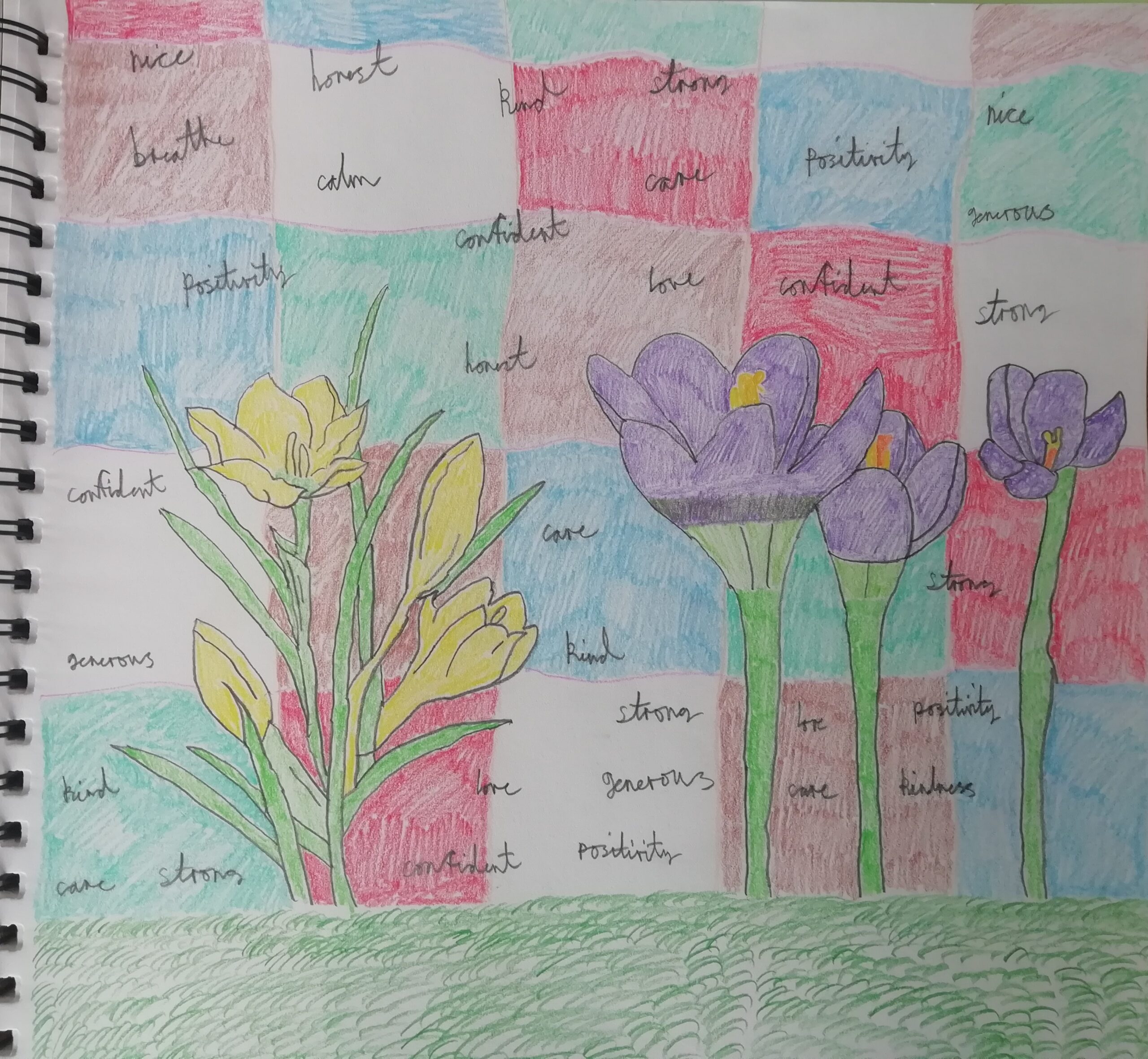Coloured drawing of yellow crocuses and purple crocuses on background of coloured squares. Words appearing repeadetly and scattered around the backgrounds are nice, honest, kind, strong, breath, calm, confident, care, positivity, generous, love.