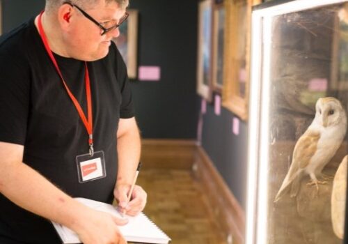 Brave Art student viewing Christchurch Mansion's collection