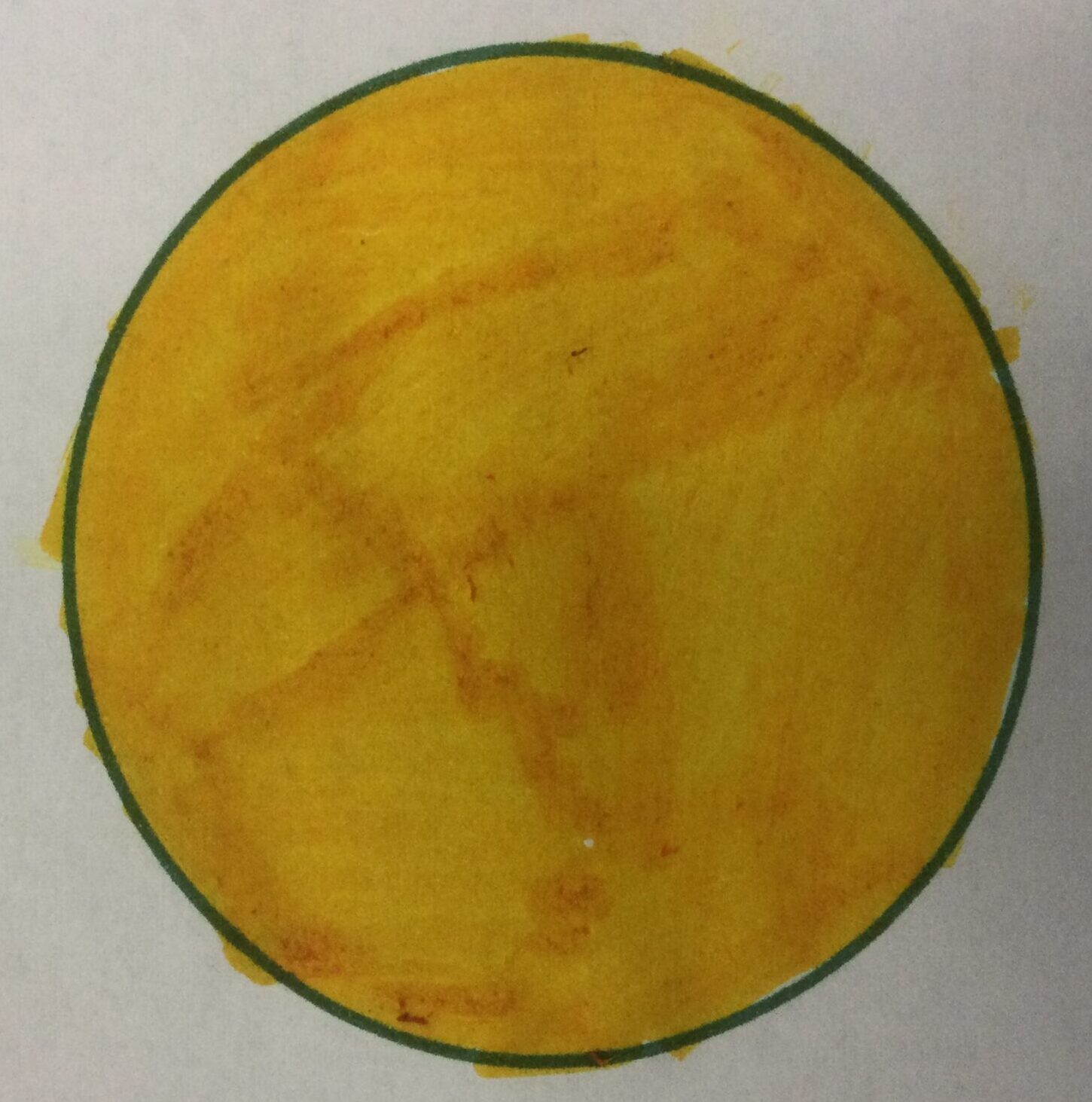 A gold coloured disc with a green outline