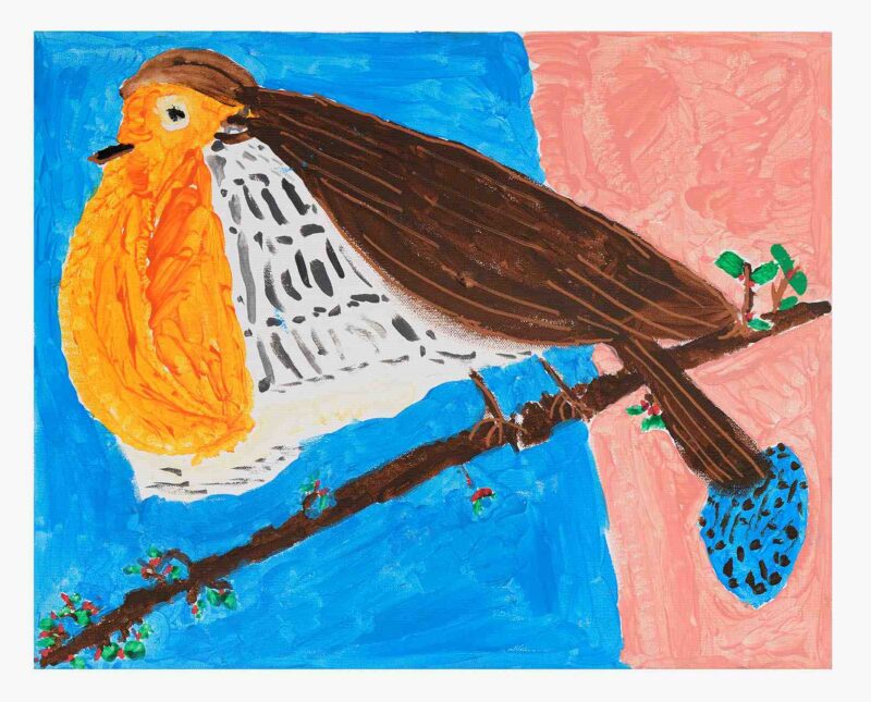 Robin, acrylic on canvas