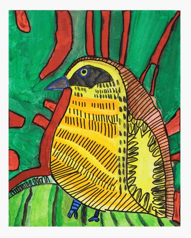 Weaver Bird, acrylic paint and posca pen on canvas
