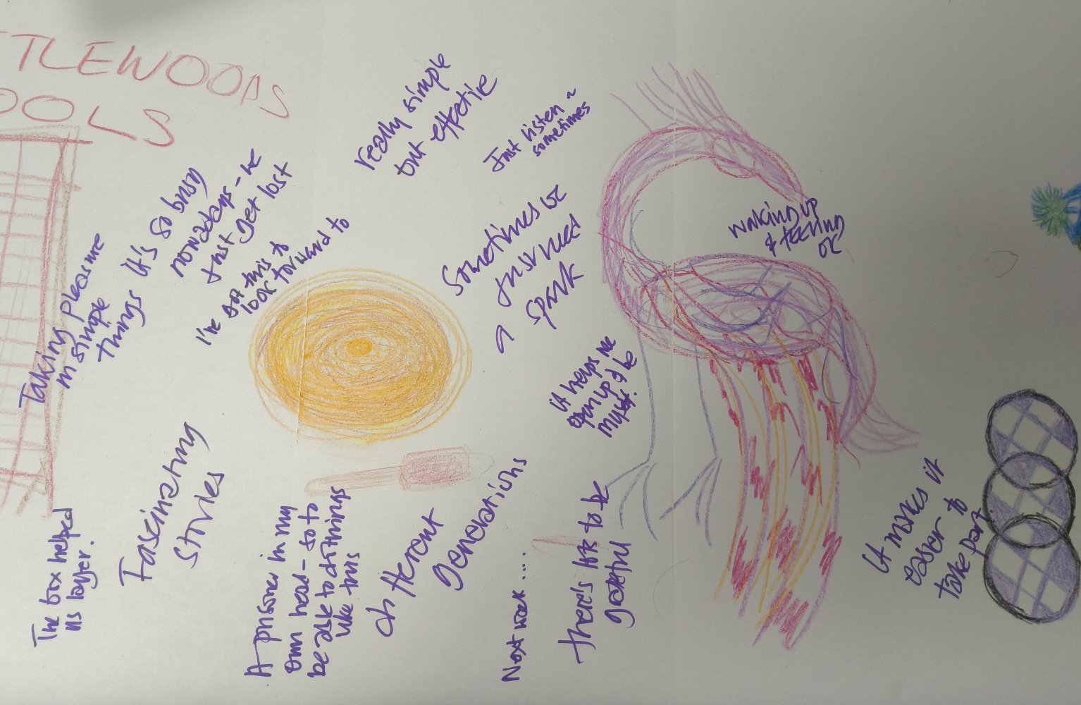 Scribbled notes on a piece of lining paper, covering images of birds and other objects
