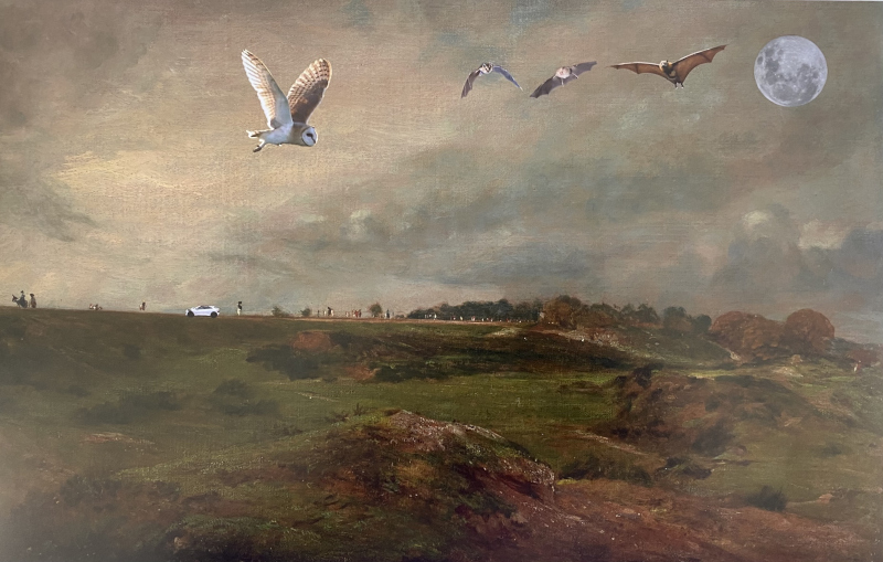 Will’s digital collage
