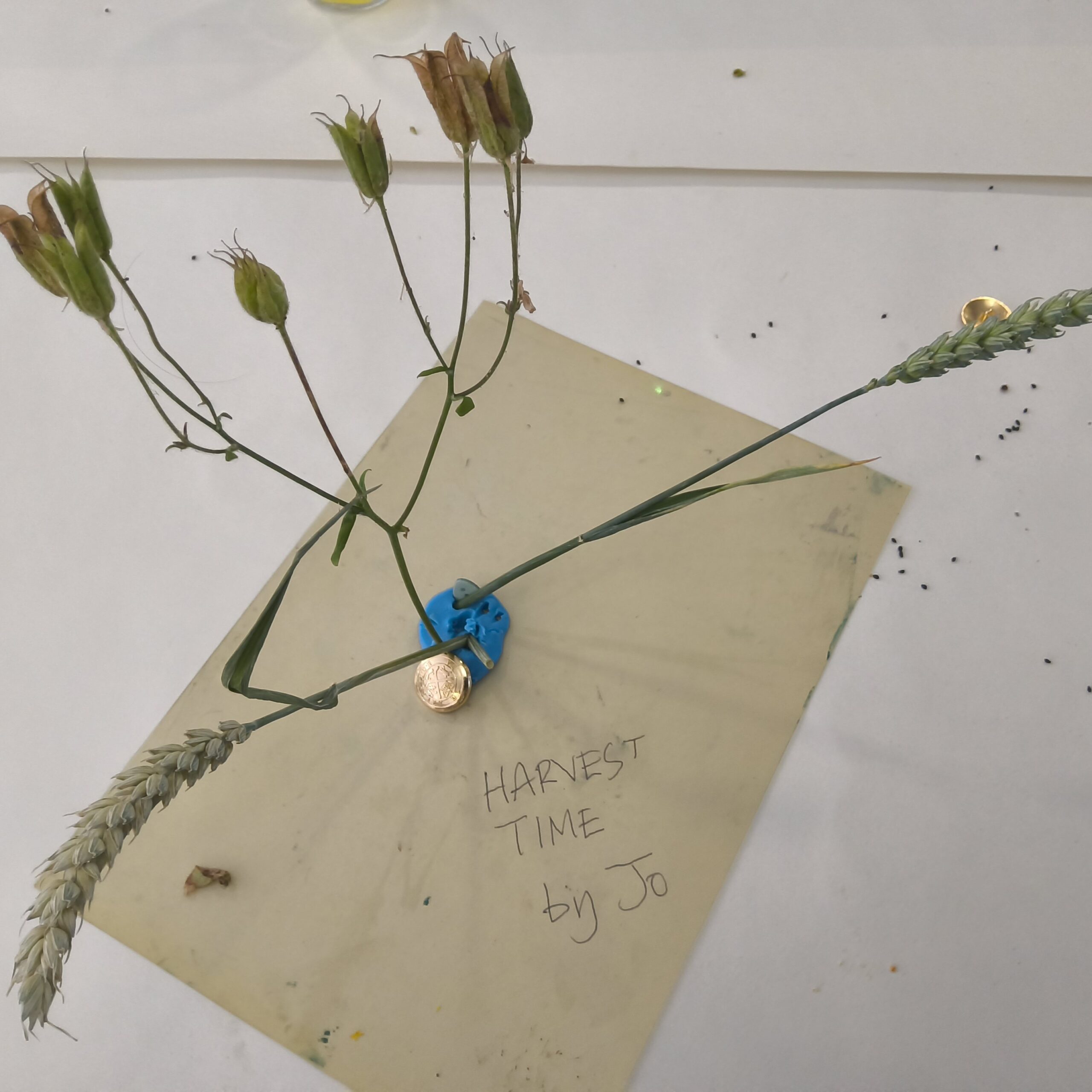 Dried seed heads and wheat standing in a blue plasticine base