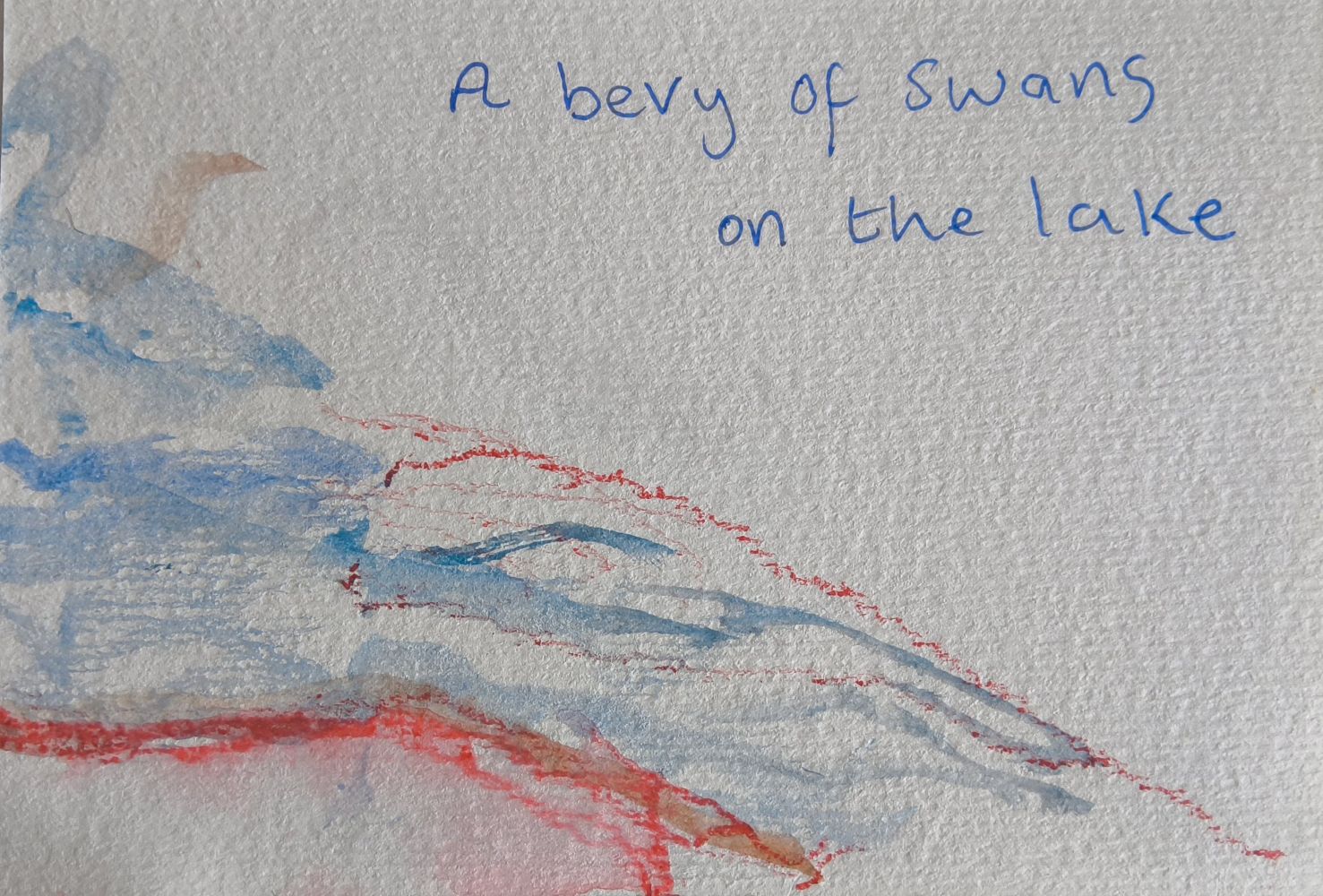 A bevy of swans on the lake