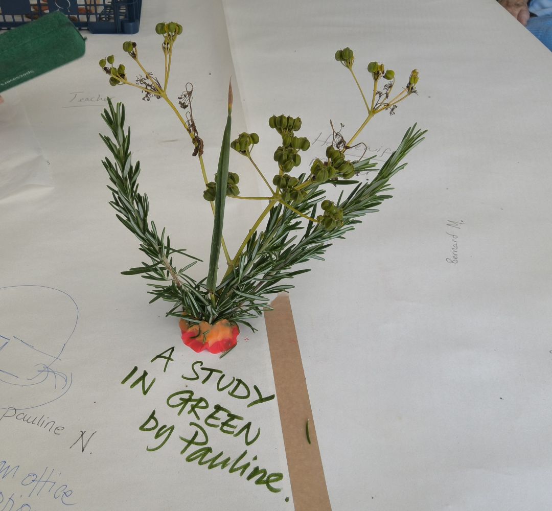 A study in Green by Pauline. Sprigs of rosemary and seed heads stuck into a blob of orange plasticine
