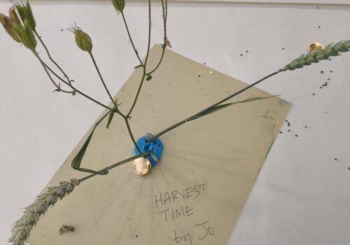 Seed heads stuck in a blob of blue plasticine. Harvest Time by Jo