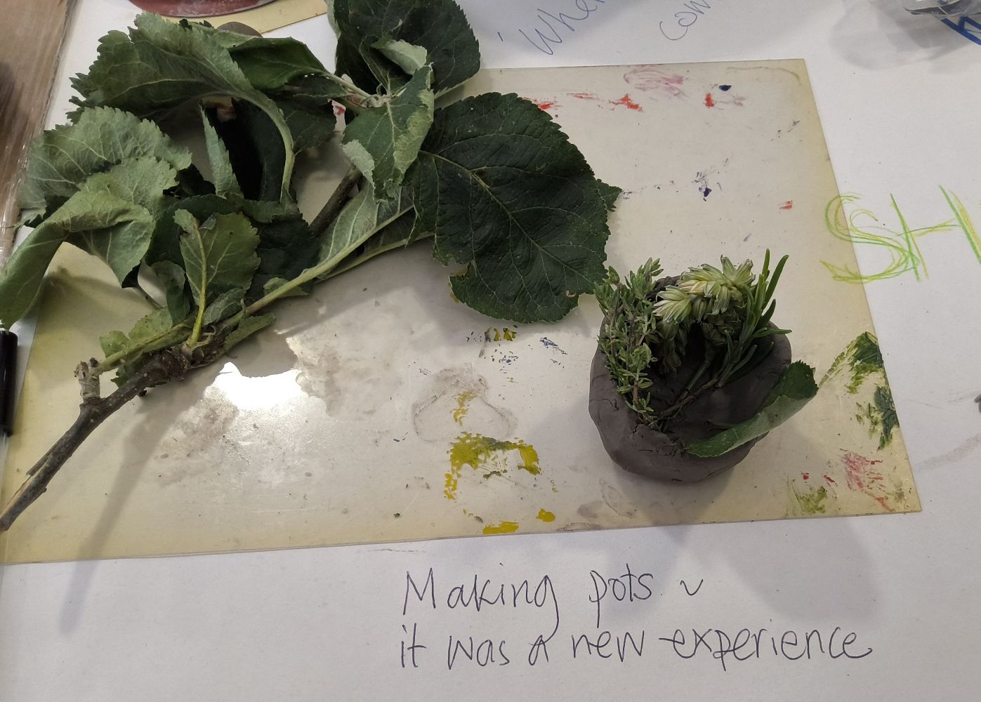 Greenery, clay pot and Making pots it was a new experience