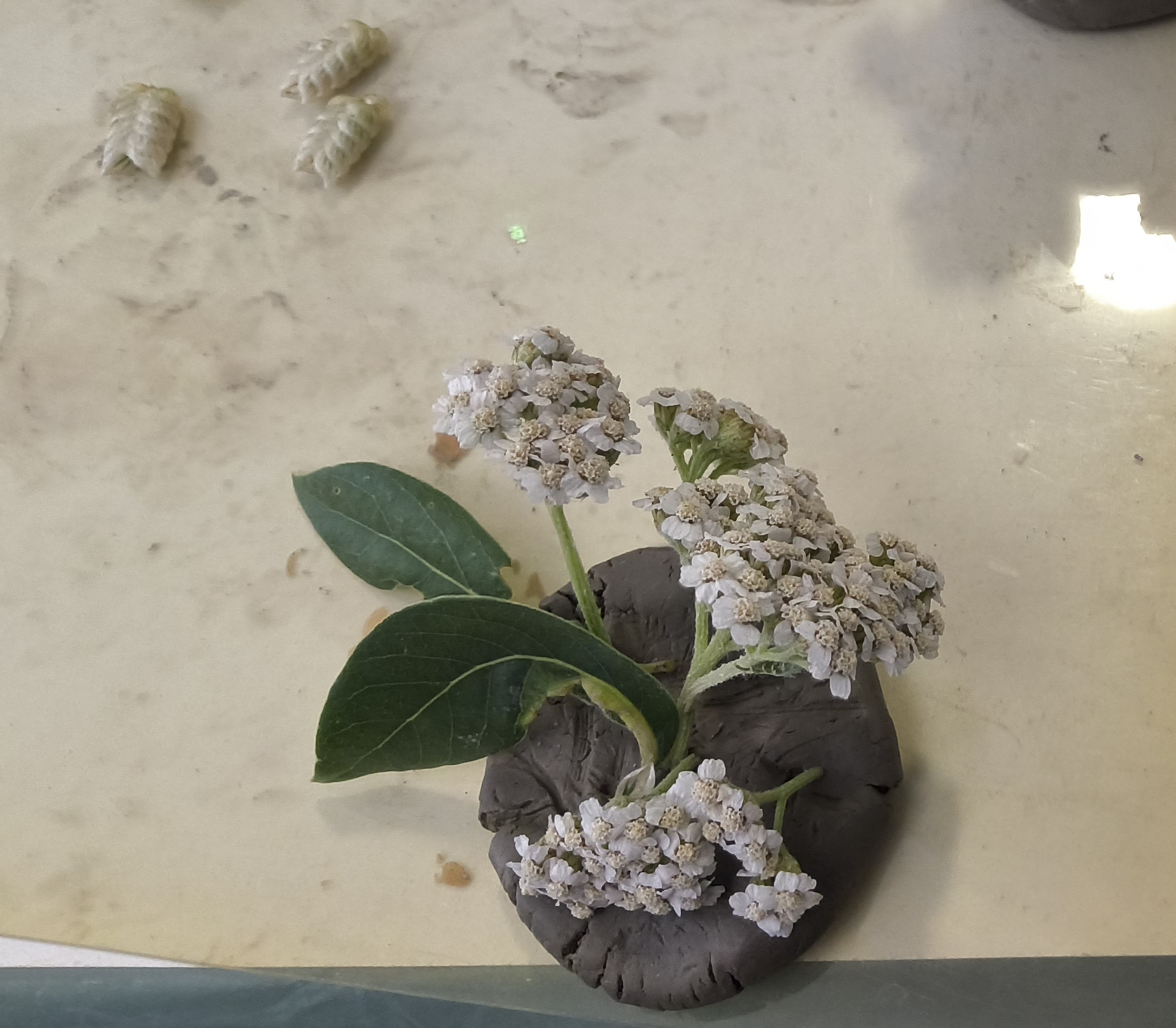 A small clay lump inset with wild flowers